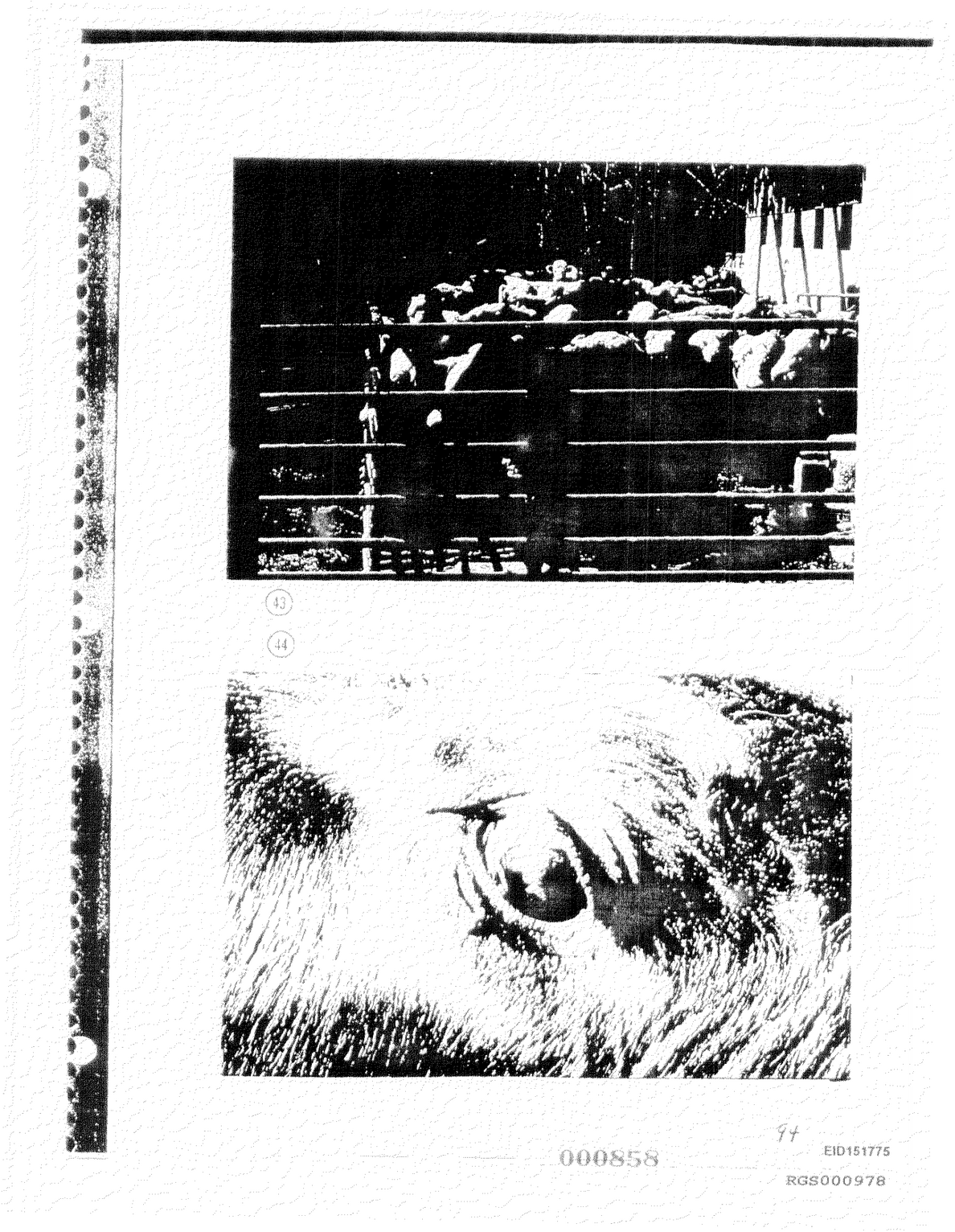 Document 3QLmJm4yR82NZZ2ZnkxG3dBQJ - Toxic Docs