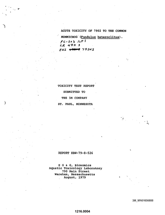 Document image