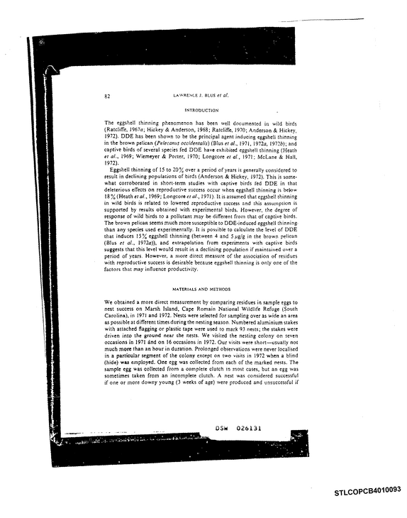 Document image