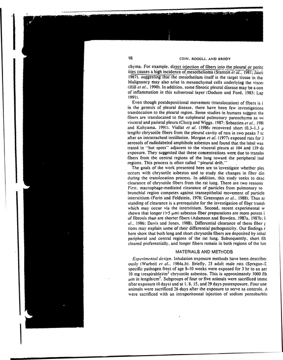Document image