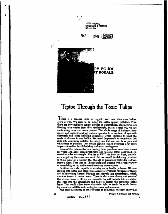 Document image